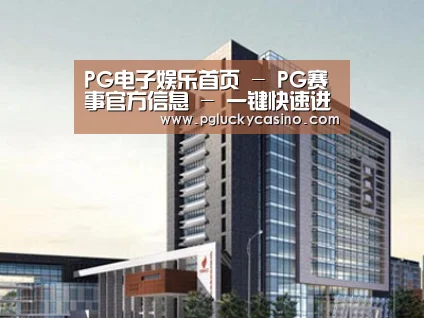 案例展示七