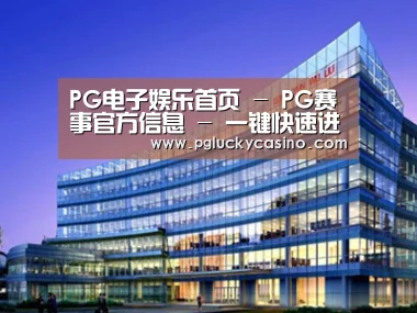 案例展示五